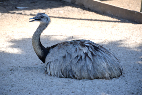 World of Birds Wildlife Sanctuary.